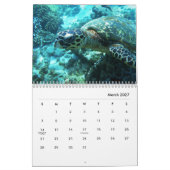 Sea Turtles Wall Calendar Kalender (Mär 2027)