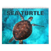 Sea Turtles Wall Calendar Kalender (Titelbild)