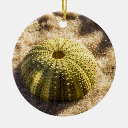 Sea Urchin am Strand Keramik Ornament (Vorne)