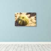 Sea Urchin auf nassem Meer Sand Canvas Print Leinwanddruck (Insitu (Holzboden))