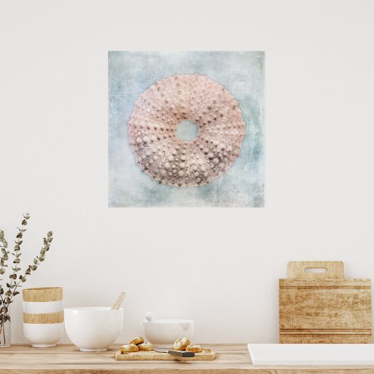 Sea Urchin Malerei an der Küste Blaue Creme Poster (Küche)