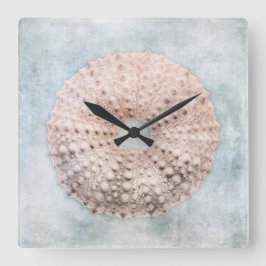 Sea Urchin Malerei an der Küste Blaue Creme Quadratische Wanduhr