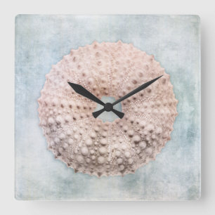 Sea Urchin Malerei an der Küste Blaue Creme Quadratische Wanduhr