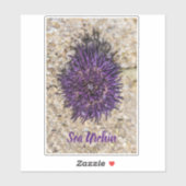 Sea Urchin Ocean Beach Holiday Sommer Souvenir Aufkleber (Blatt)
