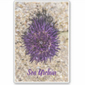 Sea Urchin Ocean Beach Holiday Sommer Souvenir Aufkleber (Vorderseite)