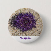 Sea Urchin Ocean Beach Holiday Sommer Souvenir Button (Vorderseite)