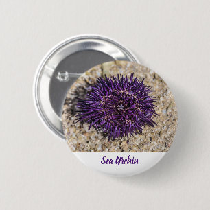 Sea Urchin Ocean Beach Holiday Sommer Souvenir Button