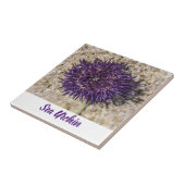 Sea Urchin Ocean Beach Holiday Sommer Souvenir Fliese (Seite)