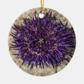 Sea Urchin Ocean Beach Holiday Sommer Souvenir Keramik Ornament (Vorne)