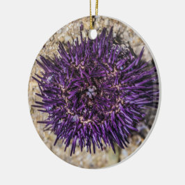 Sea Urchin Ocean Beach Holiday Sommer Souvenir Keramik Ornament