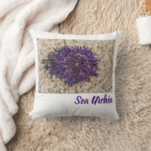 Sea Urchin Ocean Beach Holiday Sommer Souvenir Kissen