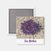 Sea Urchin Ocean Beach Holiday Sommer Souvenir Magnet (Vorderseite/Rückseite)