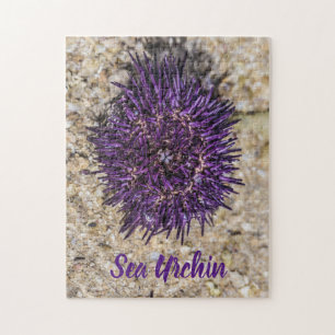 Sea Urchin Ocean Beach Holiday Sommer Souvenir Puzzle
