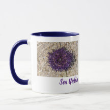 Sea Urchin Ocean Beach Holiday Sommer Souvenir