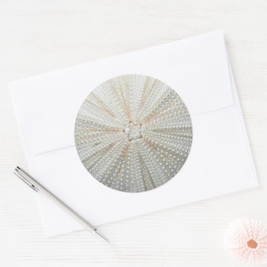 Sea Urchin Stickers (Umschlag)