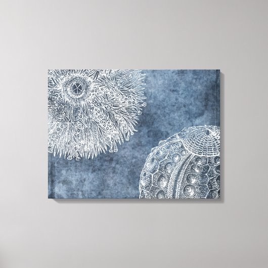 Sea Urchin Watercolor Ocean Navy Blue White Poster Leinwanddruck (Vorderseite)