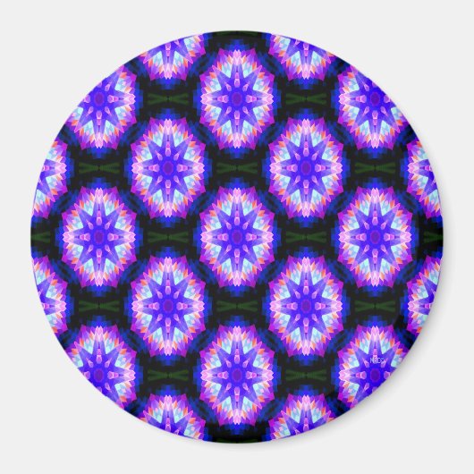 Sea Urchins.. Magnet (Vorne)