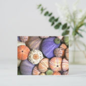 Sea Urchins Postkarte (Stehend Vorderseite)