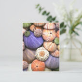 Sea Urchins Postkarte (Stehend Vorderseite)