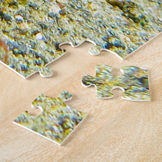 Sea Urchins Puzzle (Seite)