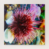 Sea Urchins Puzzle (Horizontal)