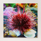Sea Urchins Puzzle (Vertikal)