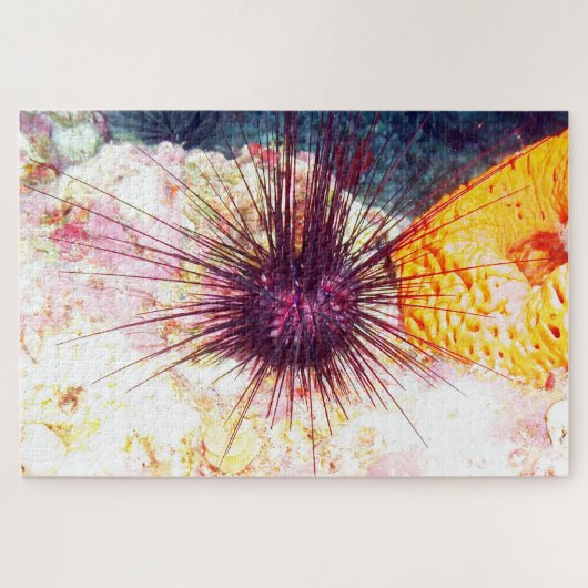 Sea Urchins Puzzle (Horizontal)