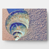 Sea Welk Seashell Fotoplatte (Vorderseite)