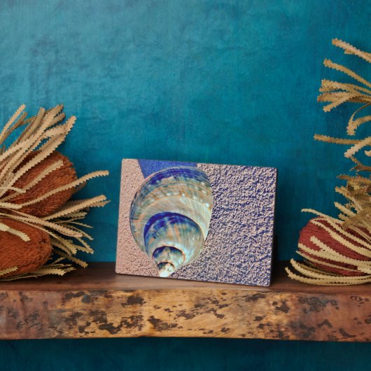 Sea Welk Seashell Fotoplatte (Seite)