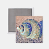Sea Welk Seashell Magnet (Vorderseite/Rückseite)