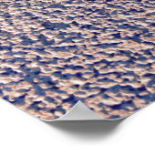 Sea Welk Seashell Poster (Ecke)