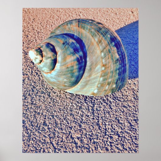 Sea Welk Seashell Poster (Vorne)