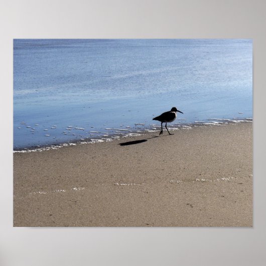 Seabird am Strand Poster (Vorne)