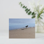 Seabird auf dem Strandfoto Postkarte (Stehend Vorderseite)