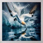 Seabird Gannet Coastal Nature Fotografy Art Poster (Vorne)