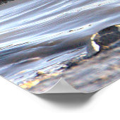 Seabird in Ocean Foto Poster (Ecke)
