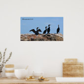 Seabird Poster (Küche)