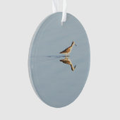 Seabird Reflection Foto Ornament (Vorderseite)