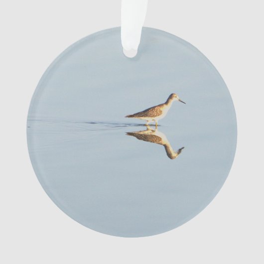 Seabird Reflection Foto Ornament (Vorderseite)