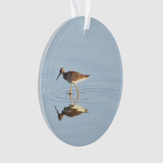 Seabird Reflection Foto Ornament (Vorderseite)