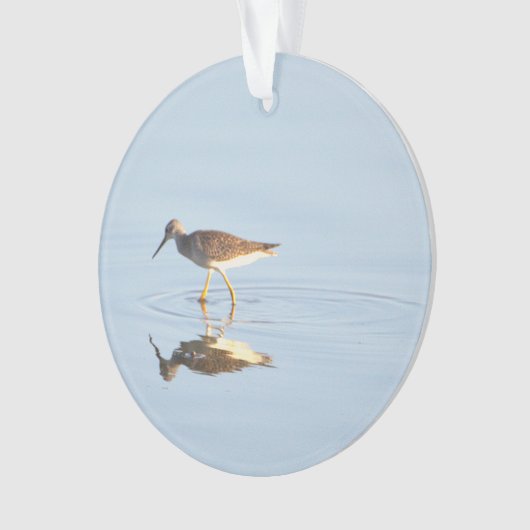 Seabird Reflection Foto Ornament (Vorderseite)