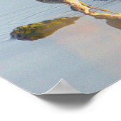 Seabird Reflection Foto Poster (Ecke)