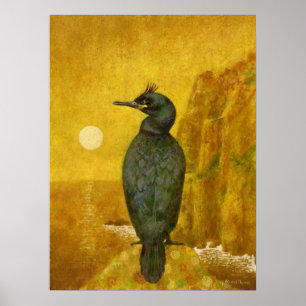 Seabird und Seascape Poster Print