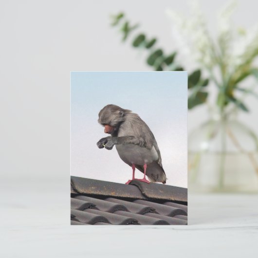 Seaboon Postkarte (Stehend Vorderseite)