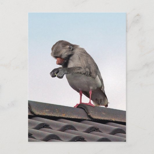 Seaboon Postkarte (Vorderseite)