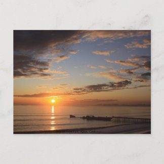 Seacliff Staat Park, Aptos... Postkarte