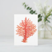 "SEACORAL" MEERESWELT POSTCARD POSTKARTE (Stehend Vorderseite)