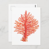 "SEACORAL" MEERESWELT POSTCARD POSTKARTE (Vorne/Hinten)