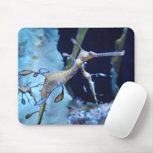 SeaDragon Mousepad (Mit Mouse)