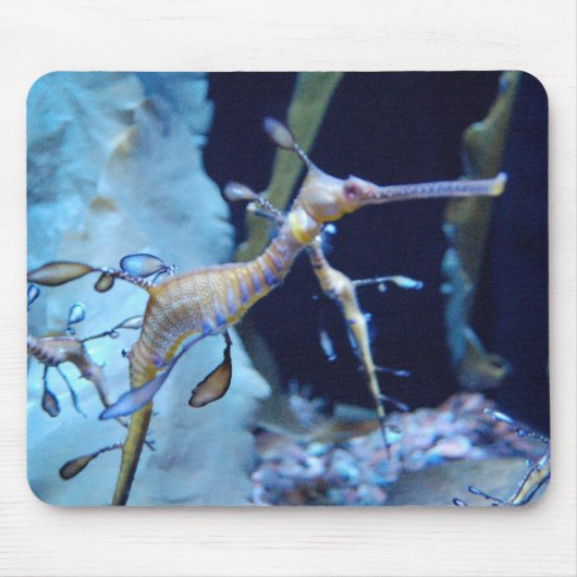 SeaDragon Mousepad (Vorne)